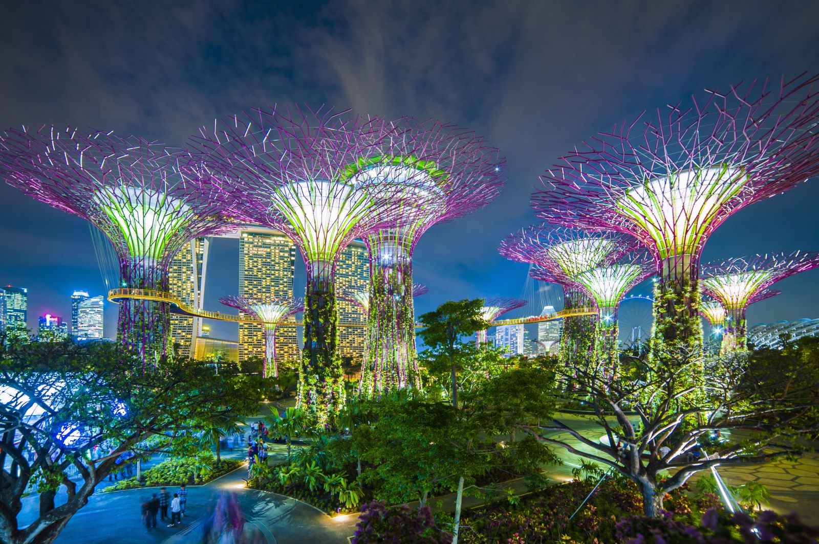 新加坡夜场签证办理需要哪些资料？